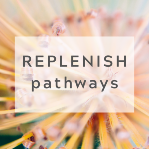 replenish pathways with Rapid Gut Reset